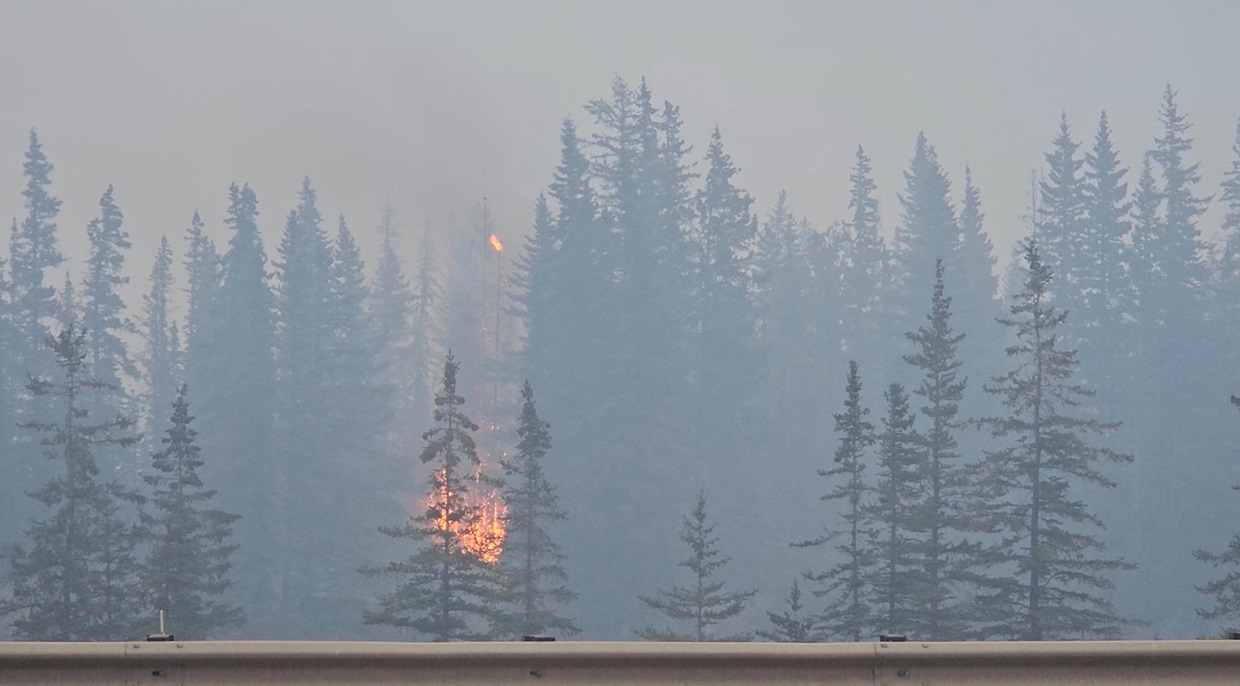 Flames and smoke rise from a burning wildfire near Jasper, Alberta. Photo: Donald Schroll/via...