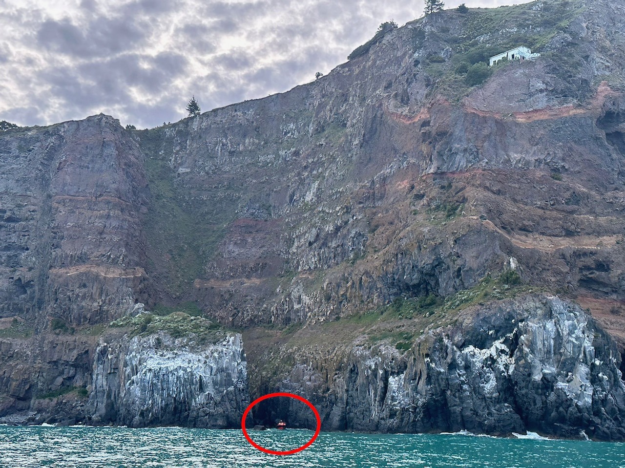 The man slipped down the cliff at Godley Head in Lyttelton Harbour. Photo: Coastguard Sumner