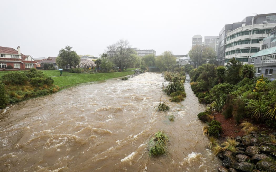 Leith River Photo: RNZ/Nathan McKinnon