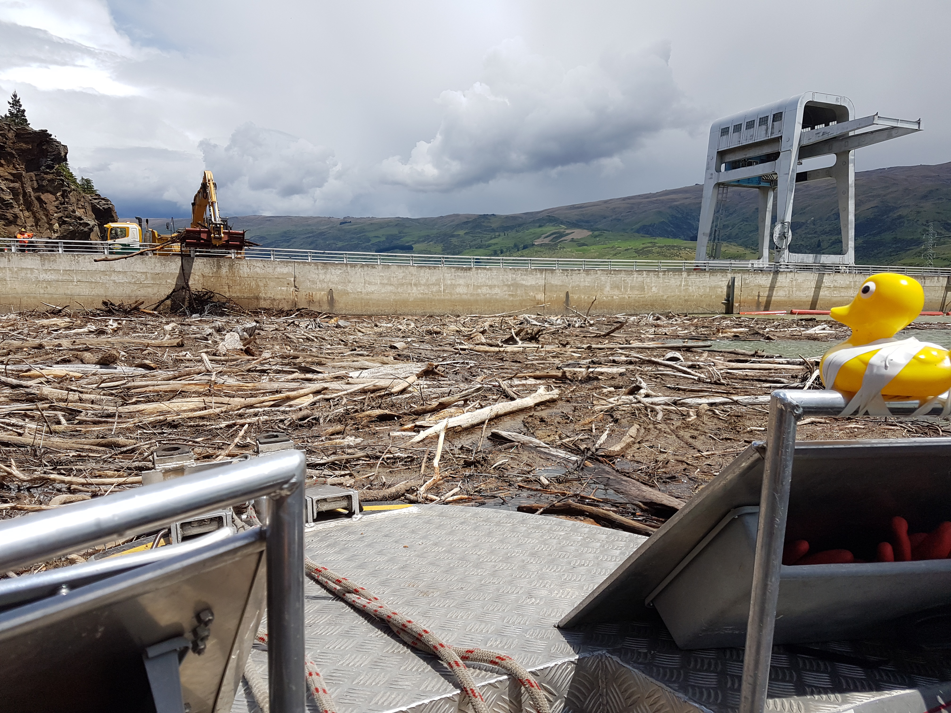 Duck number 424 looks over the recent driftwood clearing operation at the Roxburgh Dam after...