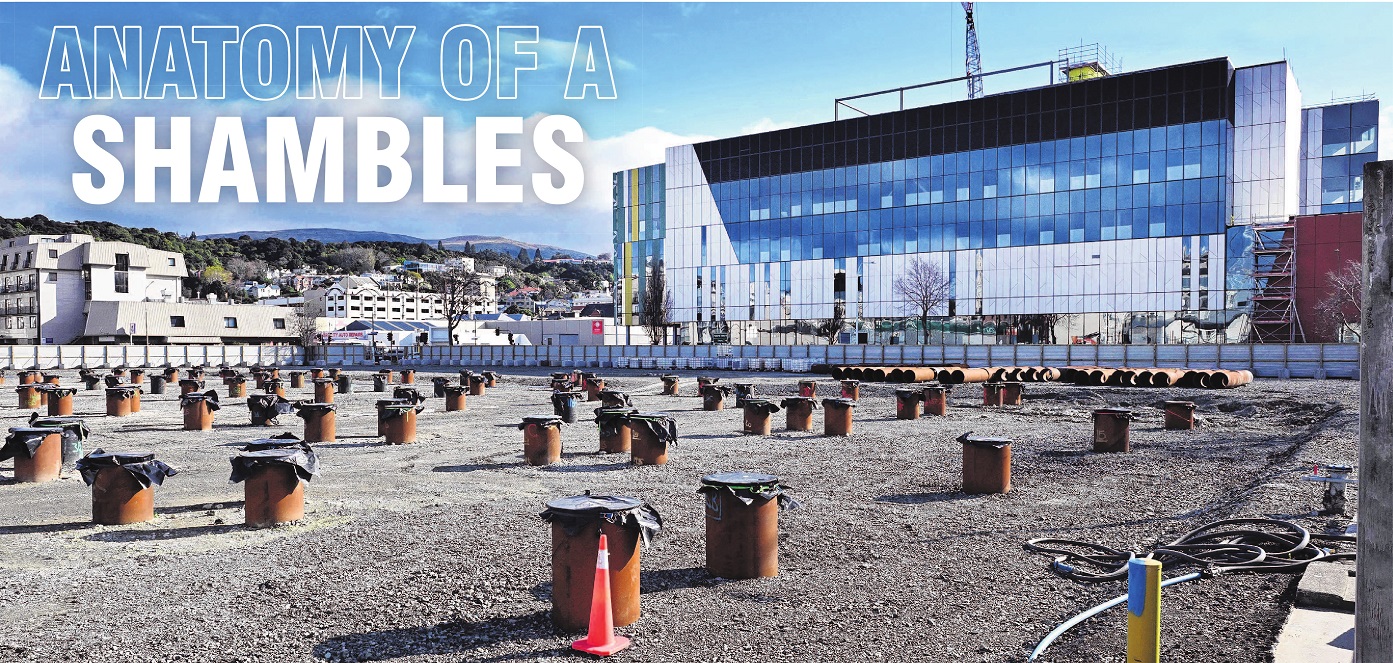 Piles driven on the site of the new Dunedin hospital inpatient building await a building to go on...