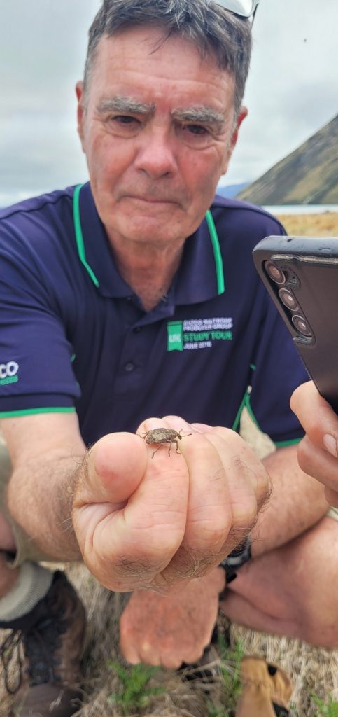 John Evans with one of the Canterbury Knobbled Weevils he found. PHOTO: SUPPLIED