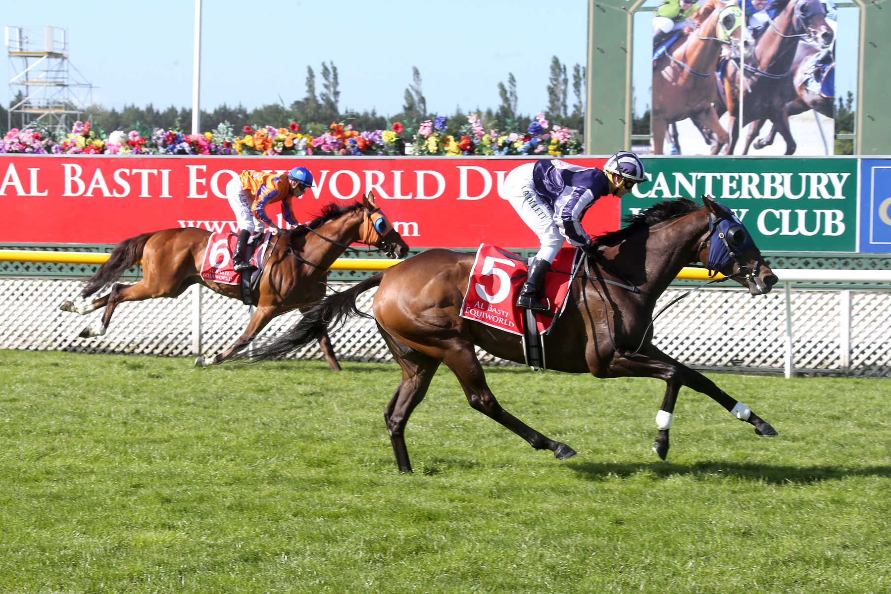 Aspen Lass beats Grazia in the Metropolitan Trophy at Riccarton on Saturday. Photo: Race Images...