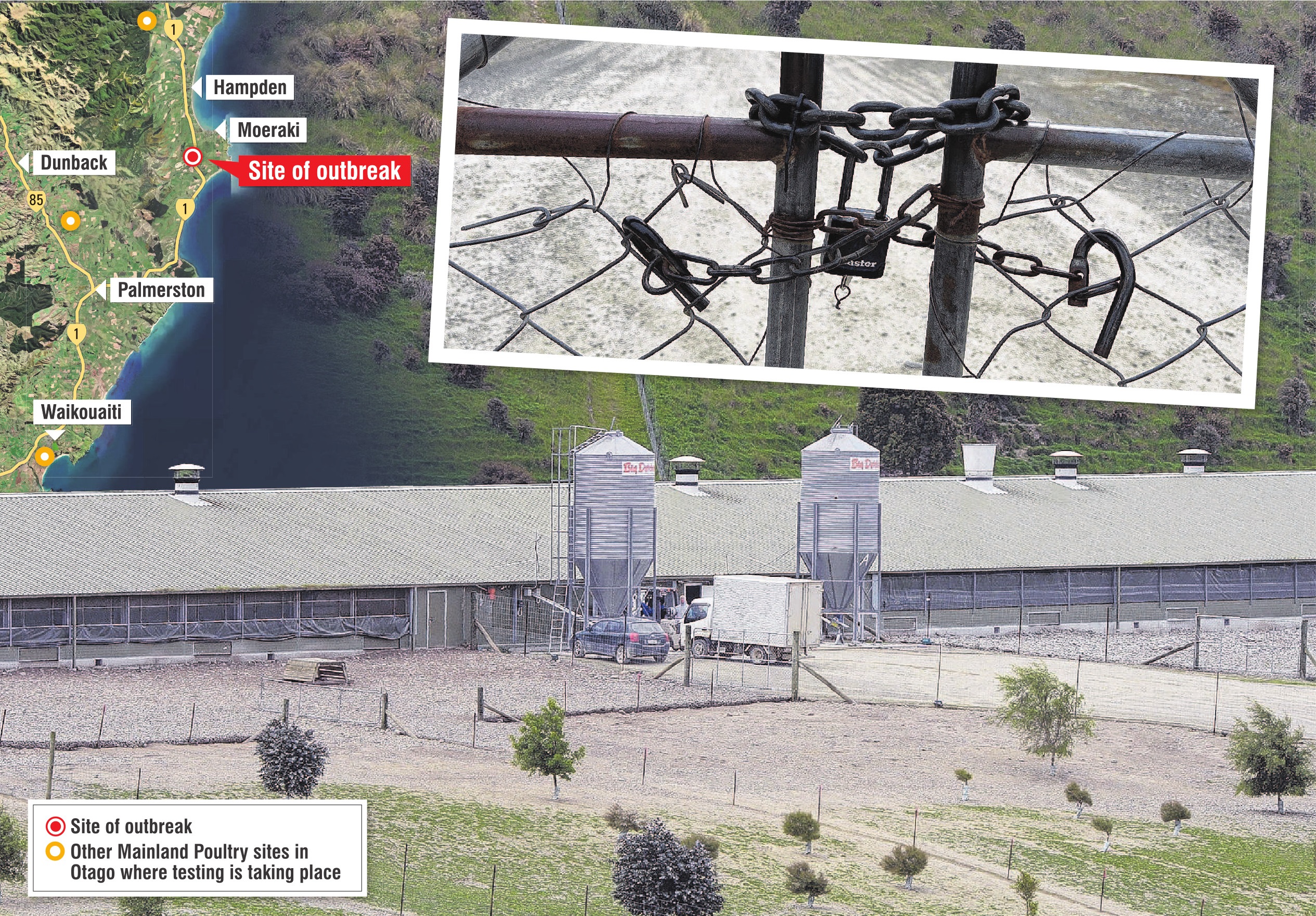 Mainland Poultry’s egg farm at Hillgrove, near Moeraki, which has had strict movement controls...