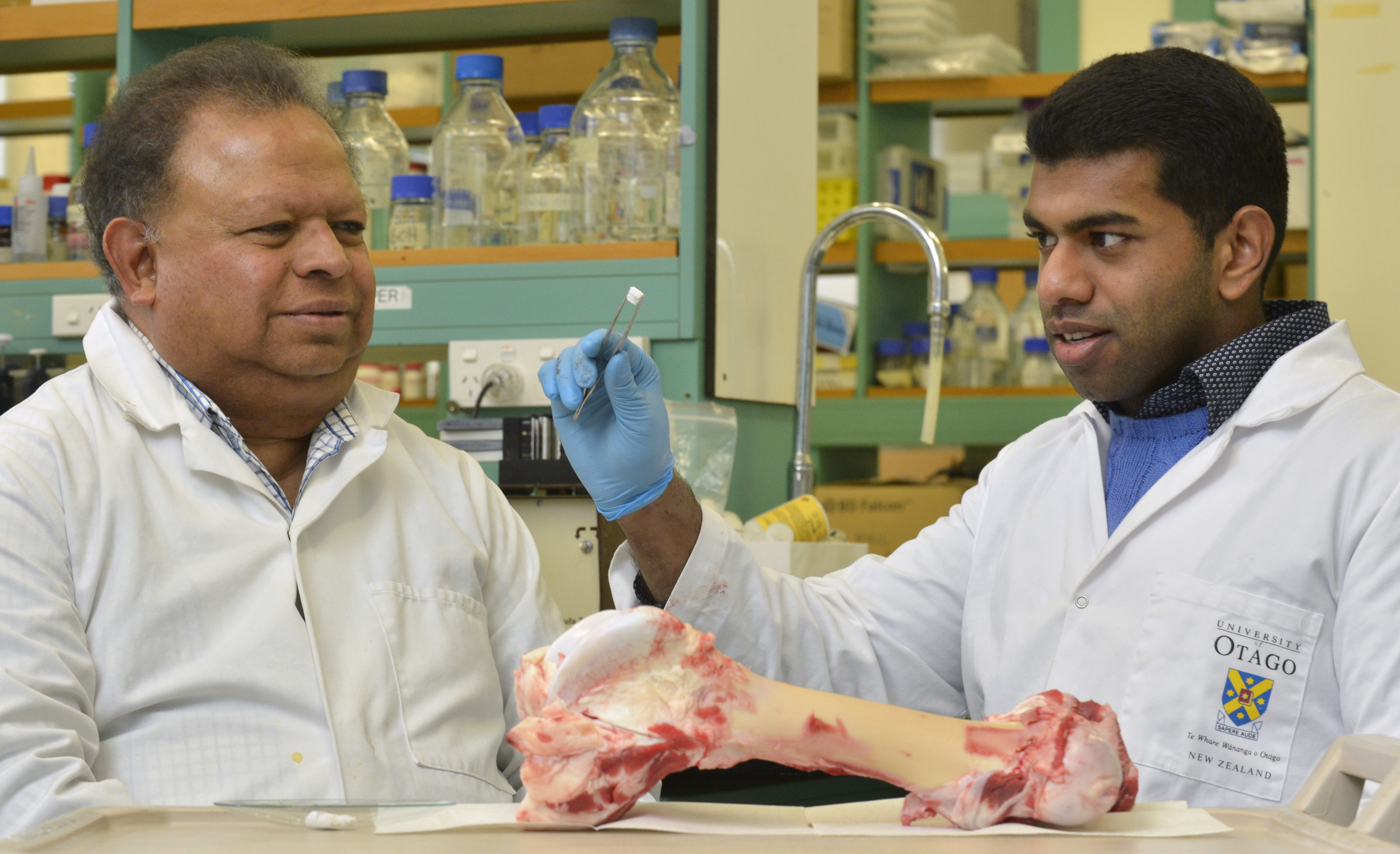 Prof George Dias (left) and Dr Jithendra Ratnayake with their material developed from cattle...