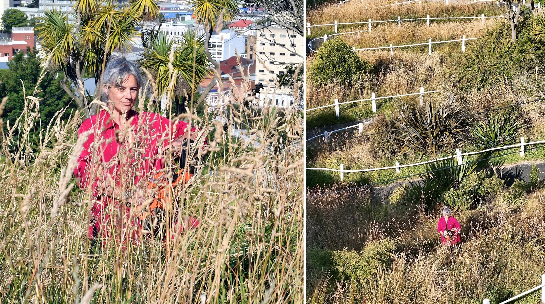 Canongate resident Allison Beck stands among the tall reeds of the overgrown grass at the verge...