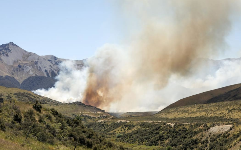 Photo: RNZ/Nate McKinnon