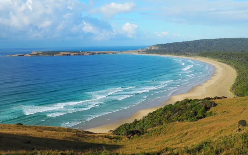 Locals told RNZ Tautuku Beach in the Catlins is treated by some motorists "like a race track"....