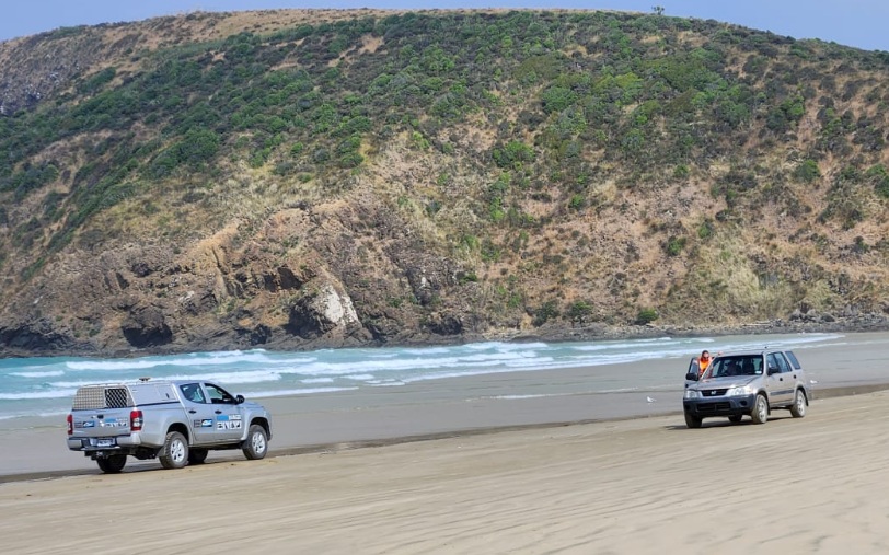 A Clutha District Council ranger talks to a motorist seen driving within metres of resting sea...