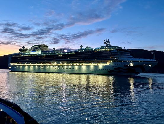 The Diamond Princess arrives in Lyttelton. Photo: Instagram / lytteltonport
 