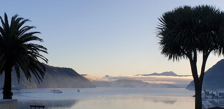 Picton's foreshore. Photo: RNZ / Tracy Neal