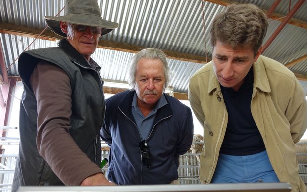 Alistair Campbell, left, demonstrating computer technology that has helped breed Merino sheep....