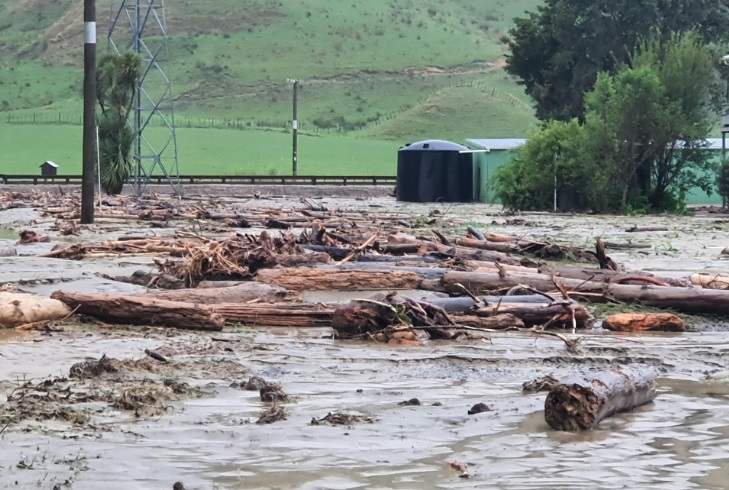 Debris strewn on farmland at Tolaga Bay, near Gisborne. Photo: Bridget Parker via RNZ 