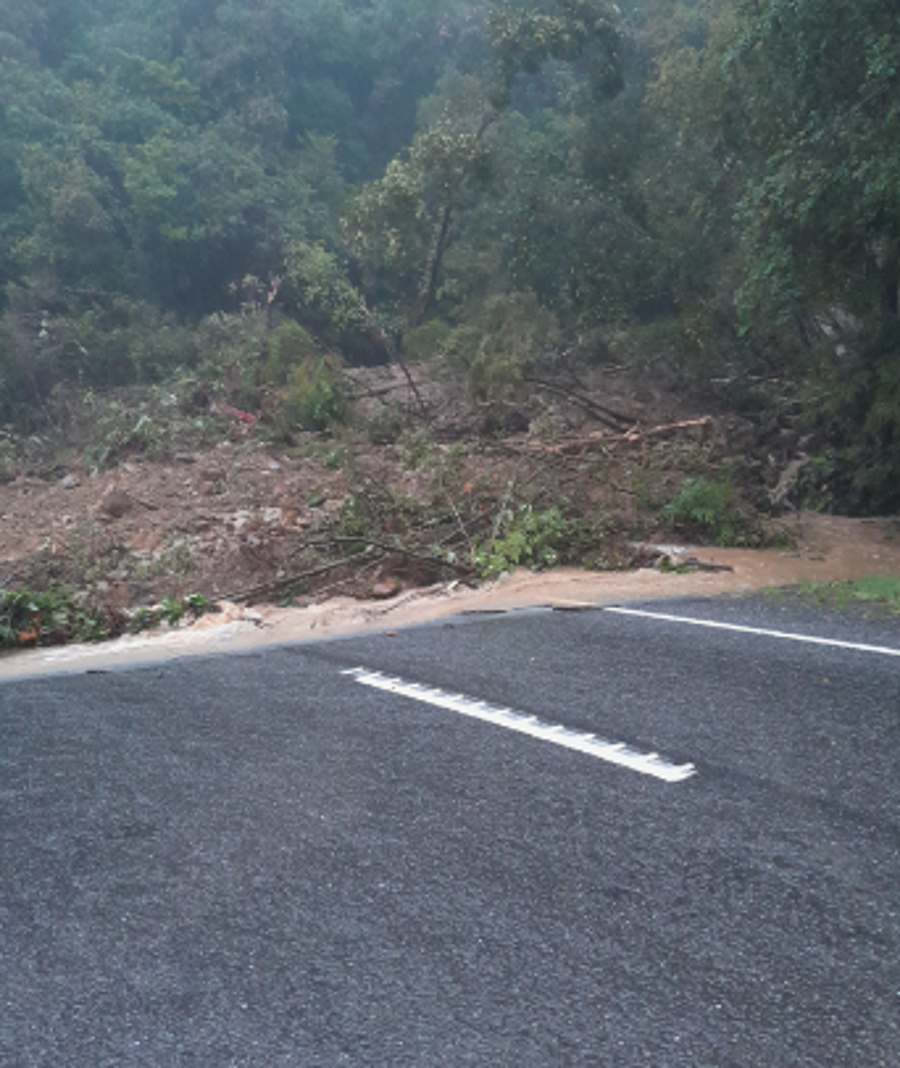 Trees and debris along the SH6 route in the Fox Hills on Saturday. PHOTO: NZTA