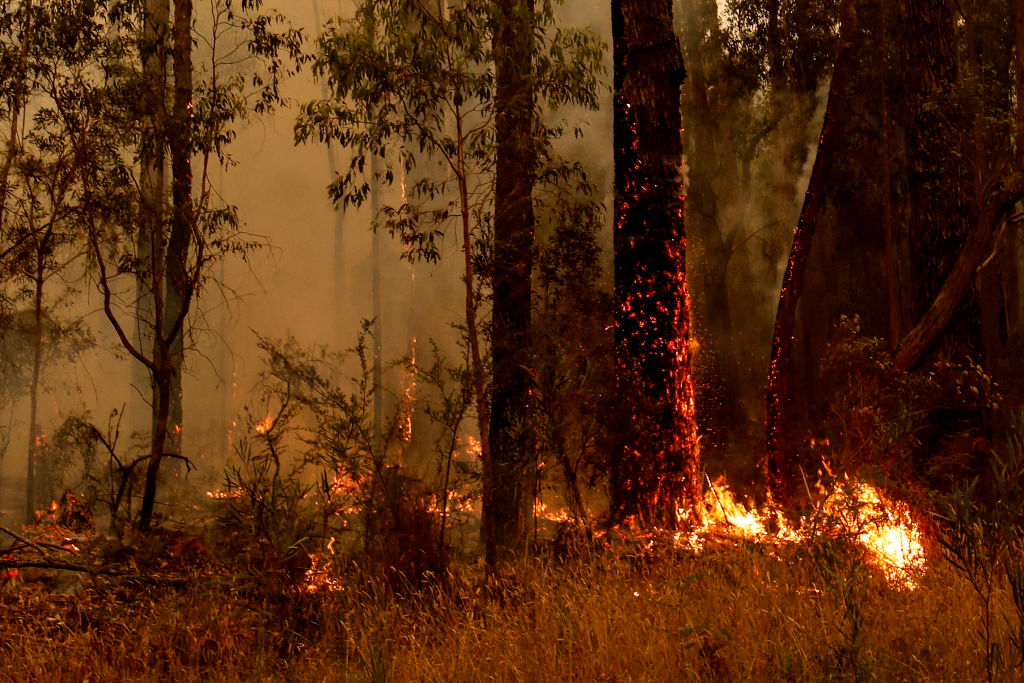 Spot fires burn along the Princes Highway in Victoria. Three people are confirmed dead in the...