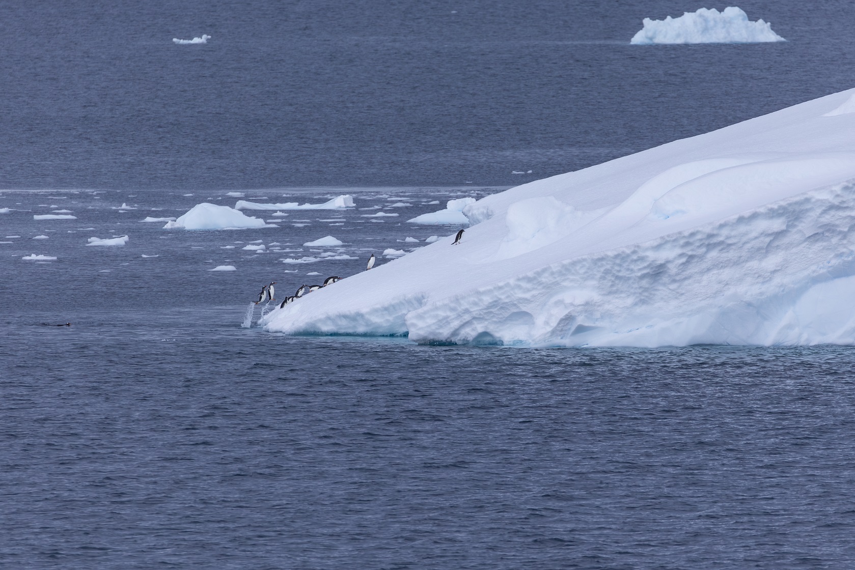 In parts of Antarctica increasing storm activity is impacting the sea ice. Photo: Getty Images