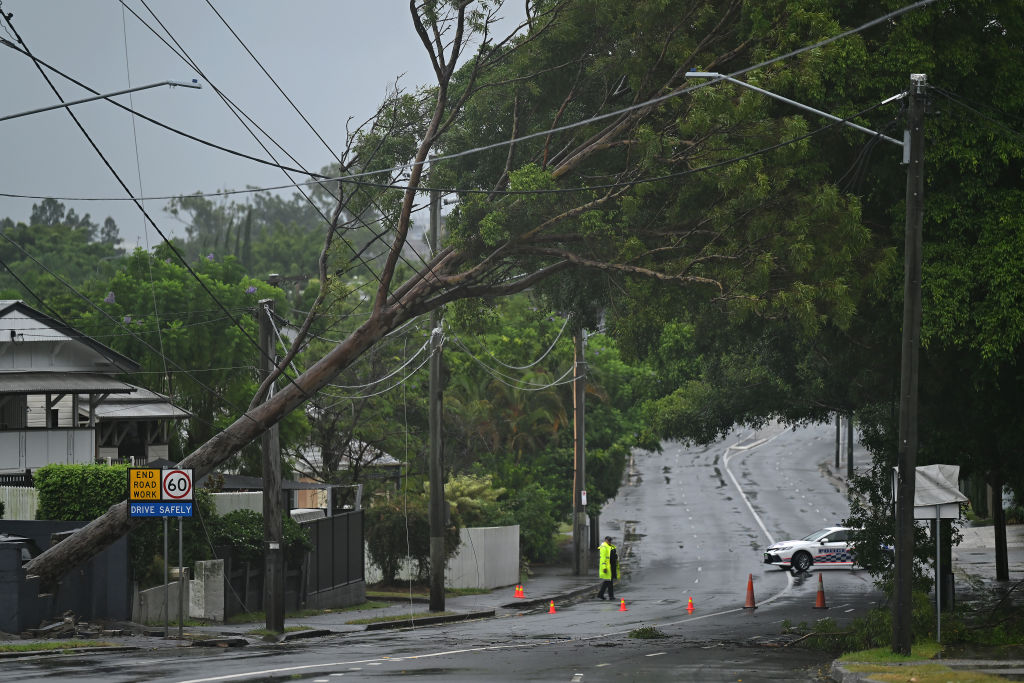 A tree uprooted by the storm on Wynnum Rd in the suburb of Norman Park in Brisbane. Photo: Getty...