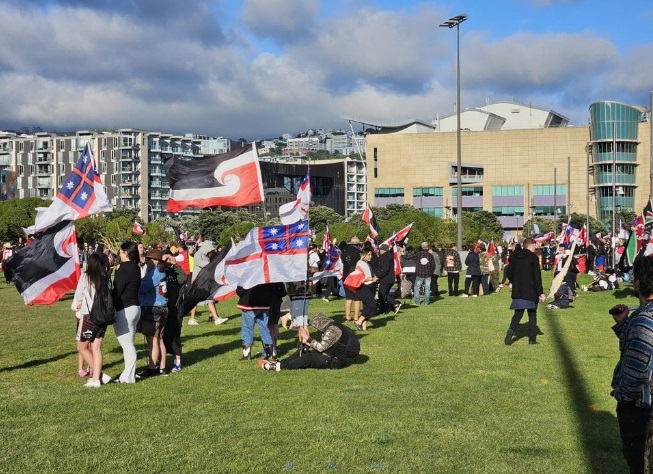 People gather at Waitangi Park in Wellington. Photo: RNZ 