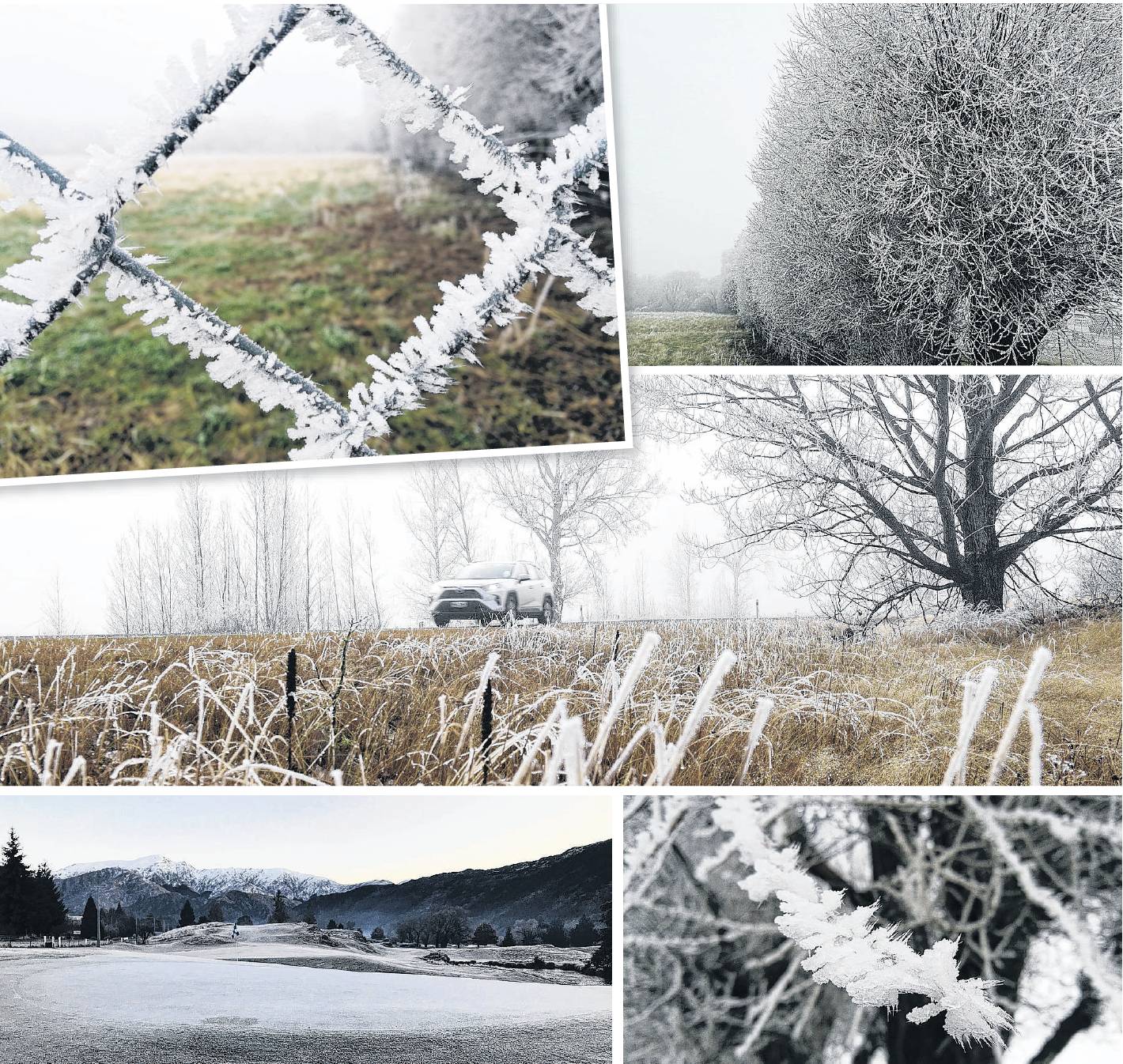 These snaps from around the region highlight the cold morning temperatures. Mackenzie country,...