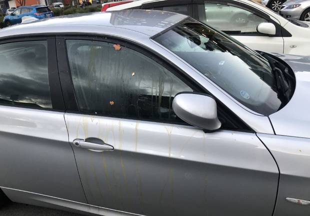 The aftermath of a random egg attack in Kelston on Sunday. Photo: Supplied