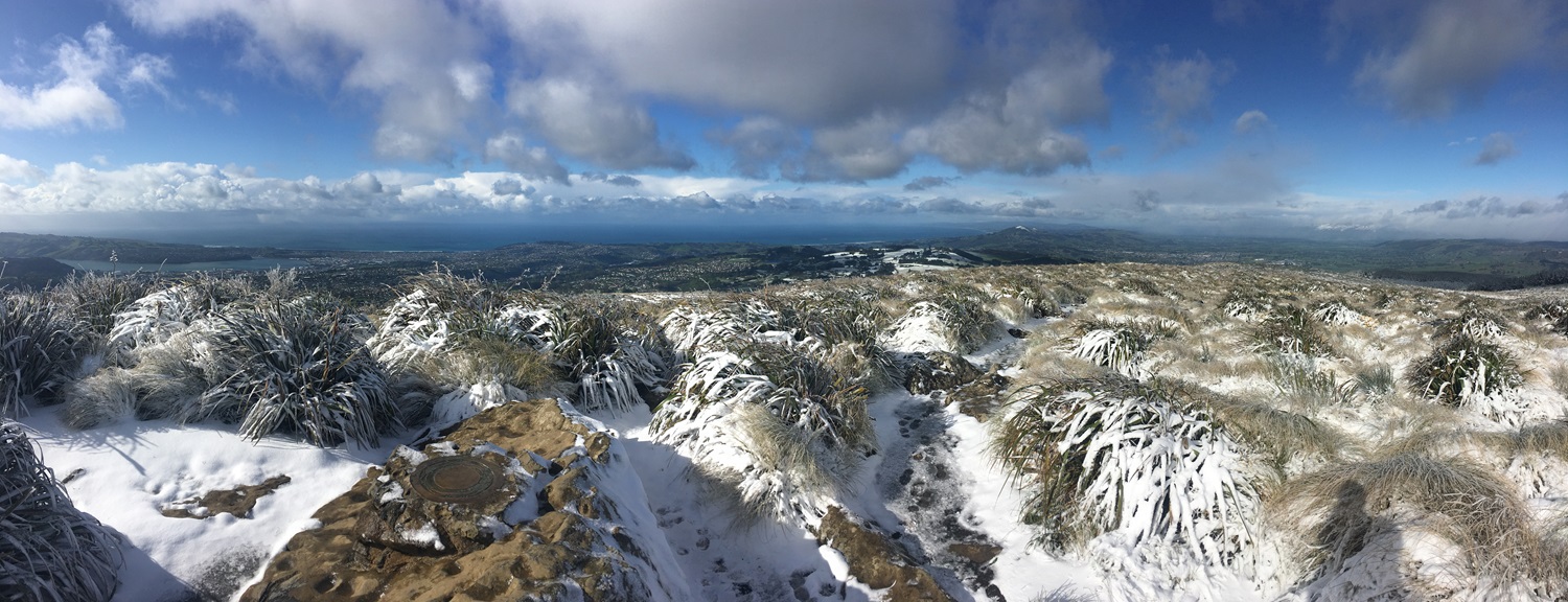 A snowy outlook from the top of Flagstaff in Dunedin. Photo: Gerard O'Brien