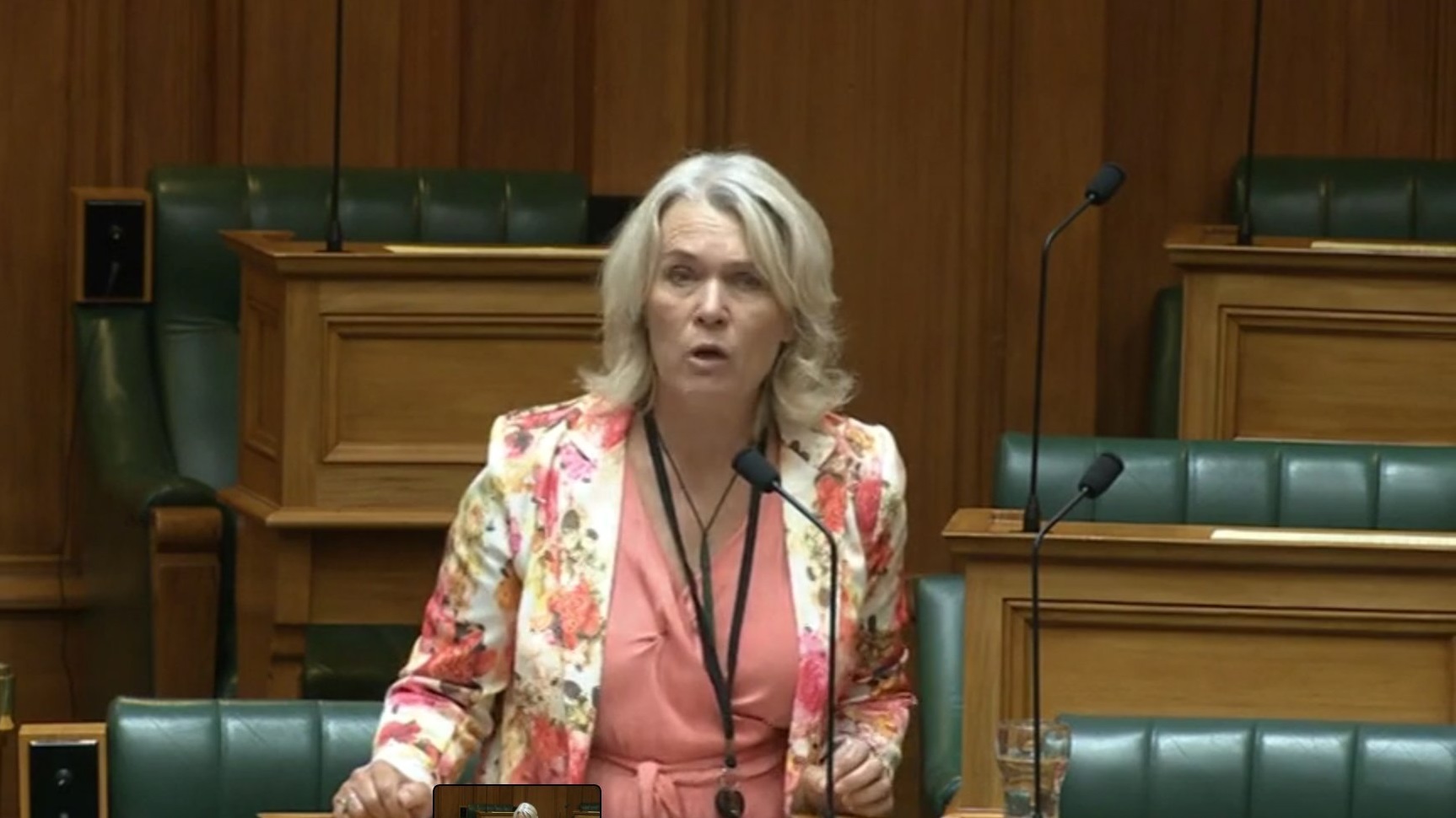 Ingrid Leary debates the Prime Minister’s statement in Parliament on Wednesday.