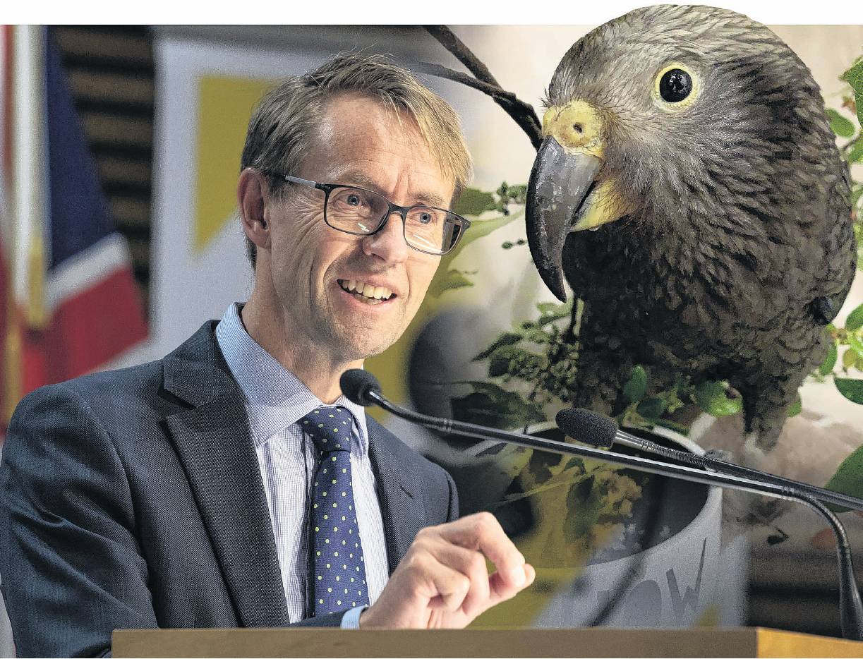 Bloomfield, the kea, brought comfort to Dunedin Wildlife Hospital staff during lockdown and was...