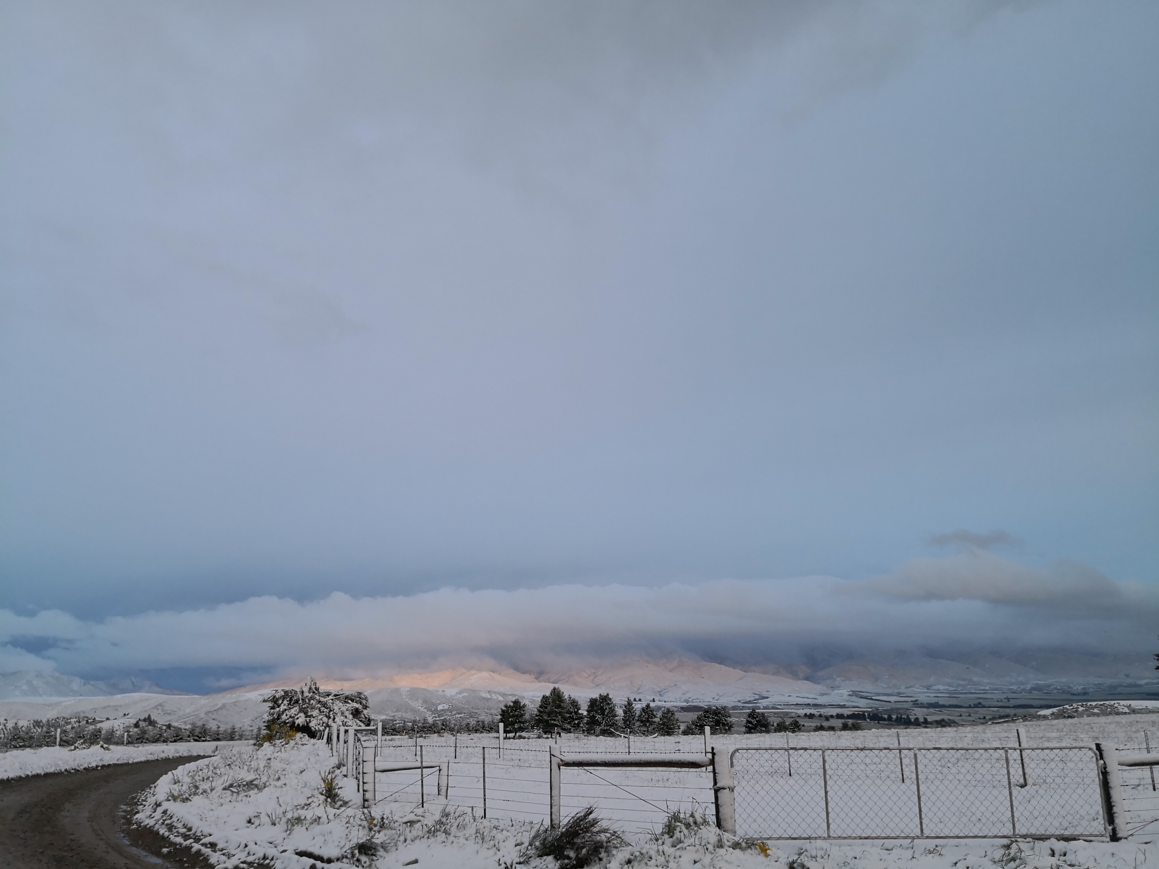 The Naseby area was blanketed in snow yesterday. Photo: Craig Sherson