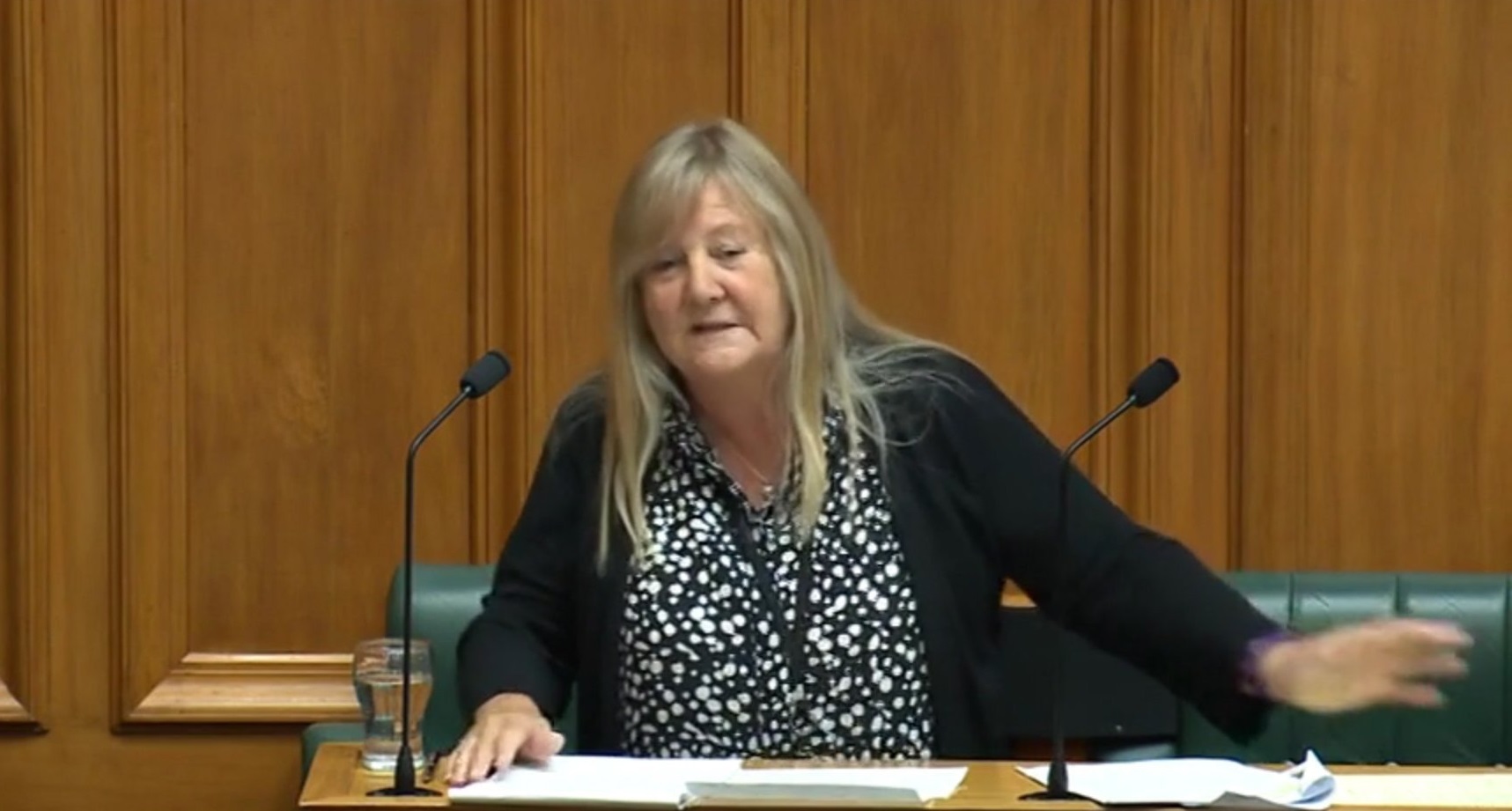 Penny Simmonds debates the Prime Minister’s statement in Parliament on Wednesday.