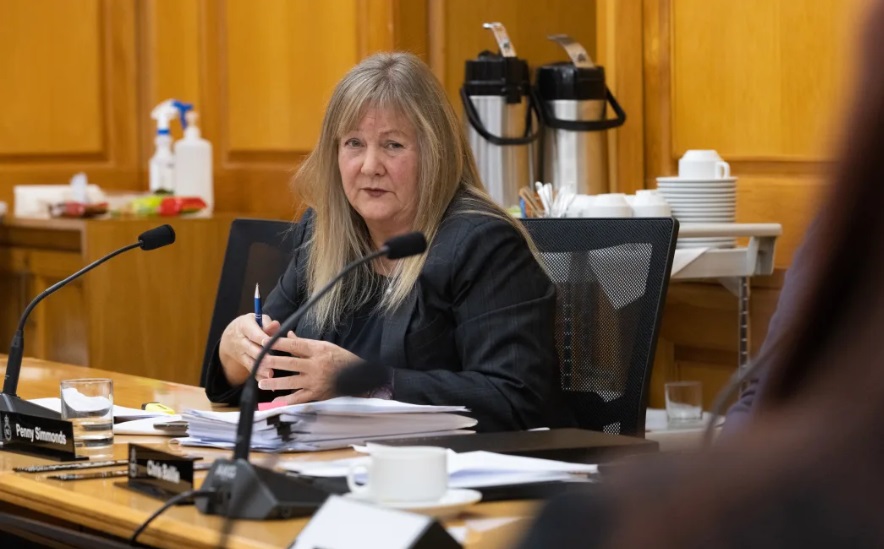 Tertiary Education Minister Penny Simmonds. Photo: RNZ 