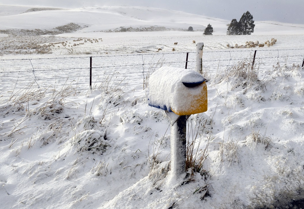 Snow beside State Highway 87 near Clarks Junction earlier today. Photo: Stephen Jaquiery