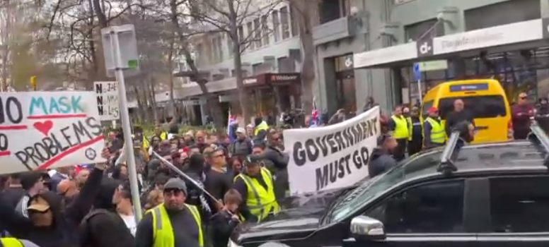 Protesters walked from Civic Square to Parliament this morning. Image: NZ Herald 