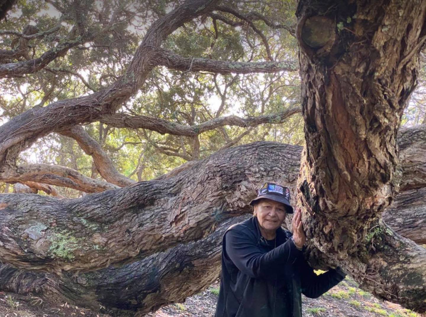 Dame Naida Glavish with 180-year-old Pōhutakawa tree at Mataharehare. Photo: Supplied via NZH