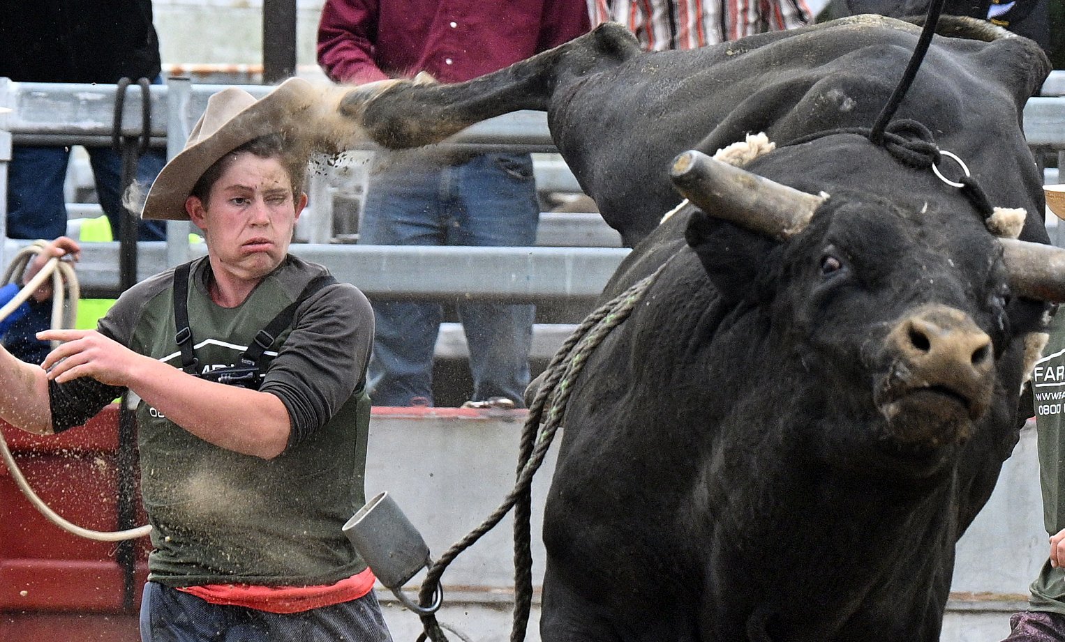 Photos of the year: Stephen Jaquiery | Otago Daily Times Online News