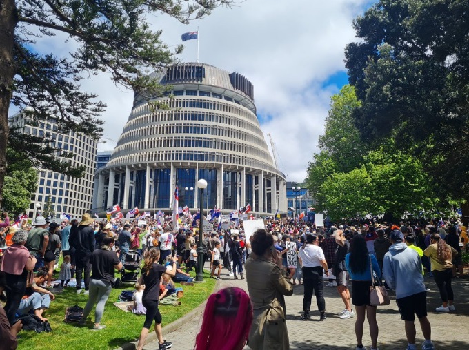 Protesters fill the grounds of Parliament in Wellington. Photo: RNZ