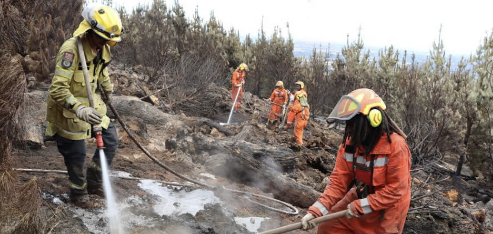 Crews continued to find and extinguish hotspots during a windy day. Photo: Canterbury Fire and...