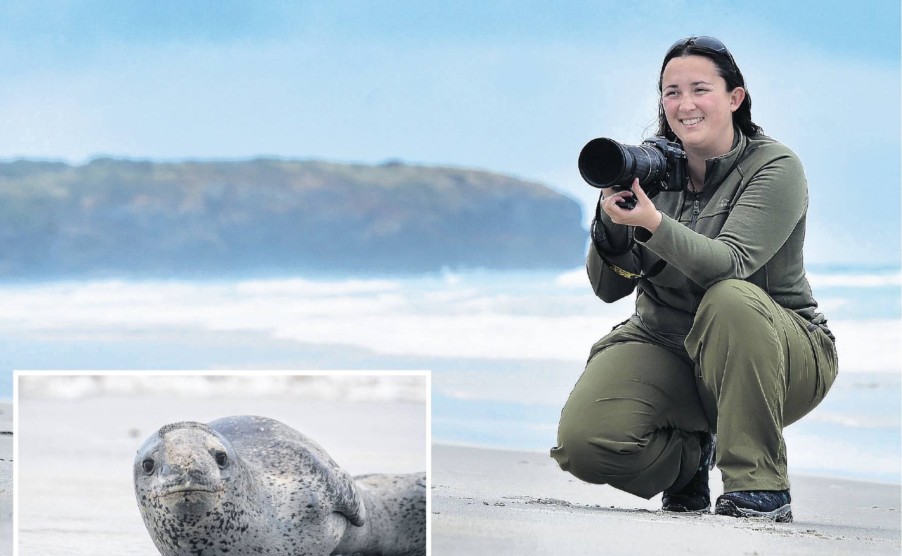 Leopard seal researcher Giverny Forbes has recorded more than 100 leopard seal visits on Otago...