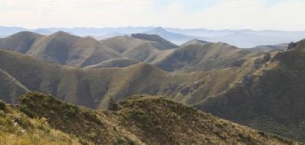 The pair set out for a tramp in Silver Peaks yesterday. Photo: ODT files 