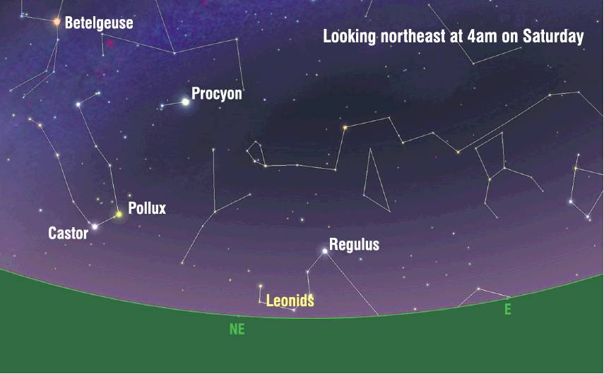 Skywatch: Lionising The Leonids 