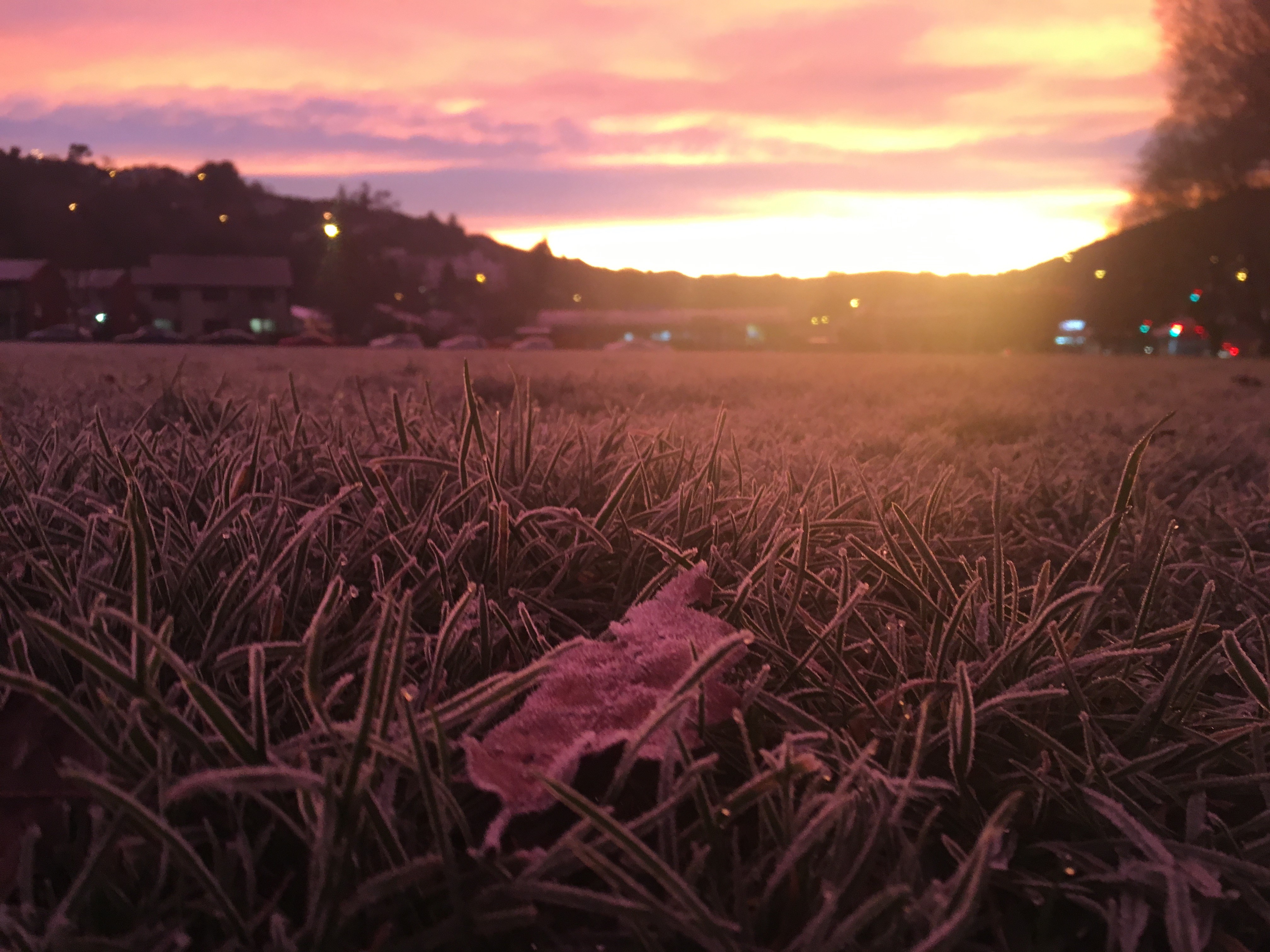 The sun rises over a frosty Gardens sports field. Photo: Gerard O'Brien