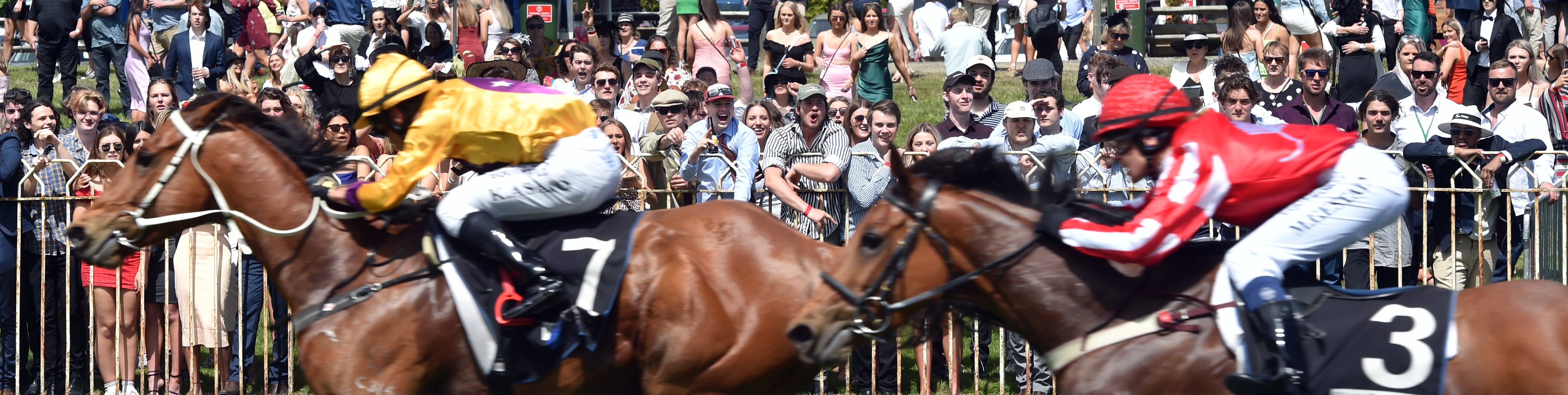 Race-goers cheer as the field in race 5 rushes past.