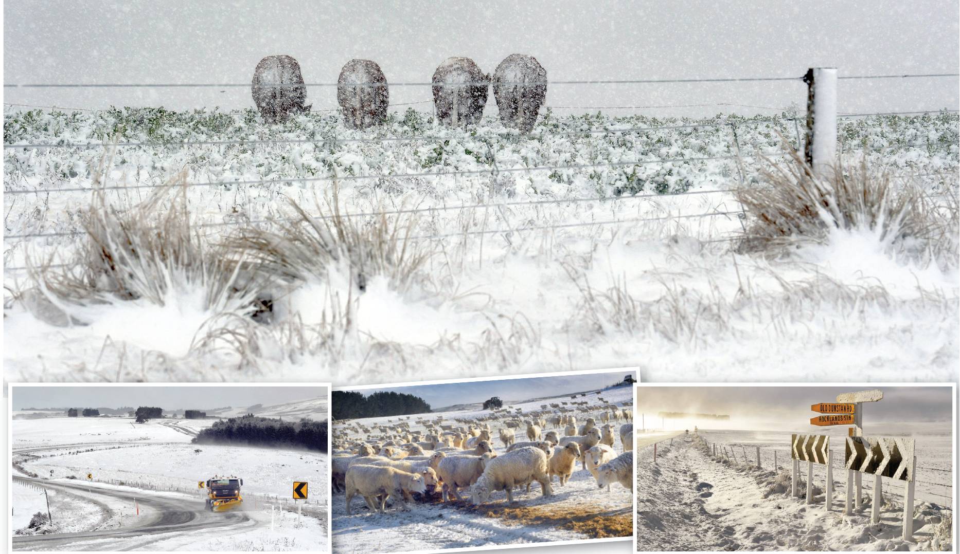 Clockwise from top: Cattle stand with their backs to the wind as snow blankets awinter crop beside Mt Gowrie Rd near Clarks Junction; State Highway 87 covered with snow near Clarks Junction; Andrew Richards feeds his flock of sheep at Strathview Station n