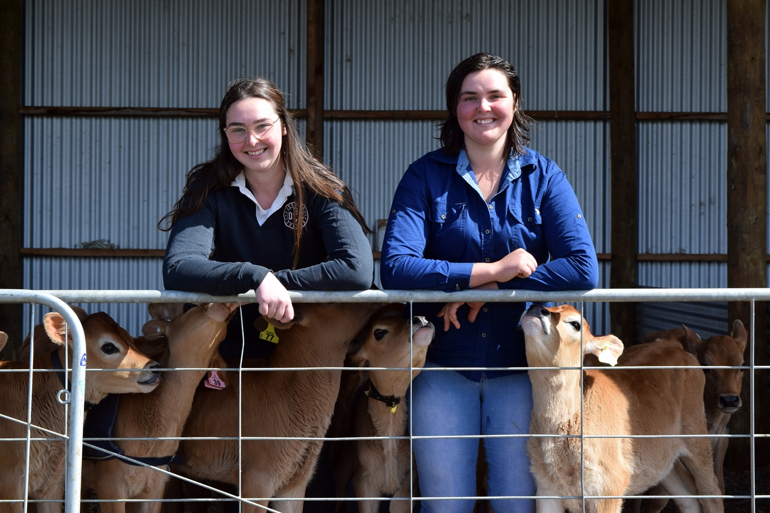 Mount Brook Jerseys co-owners Alannah (left) and Julie Skedgwell on their family dairy farm in...