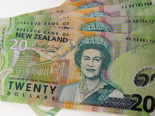 Nz dollar 2024 to euro