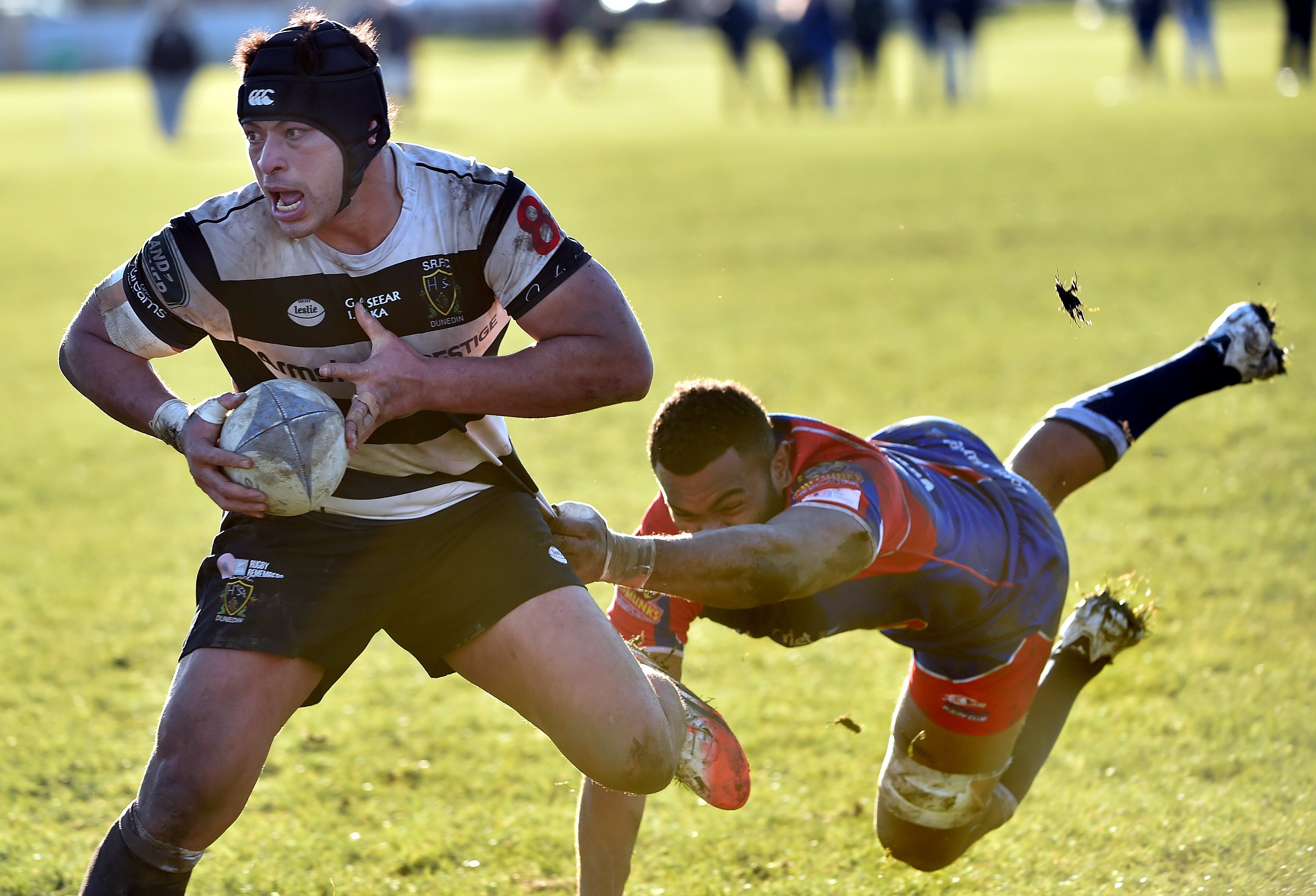 Dunedin Premier Club Rugby Preview Otago Daily Times Online News 7437