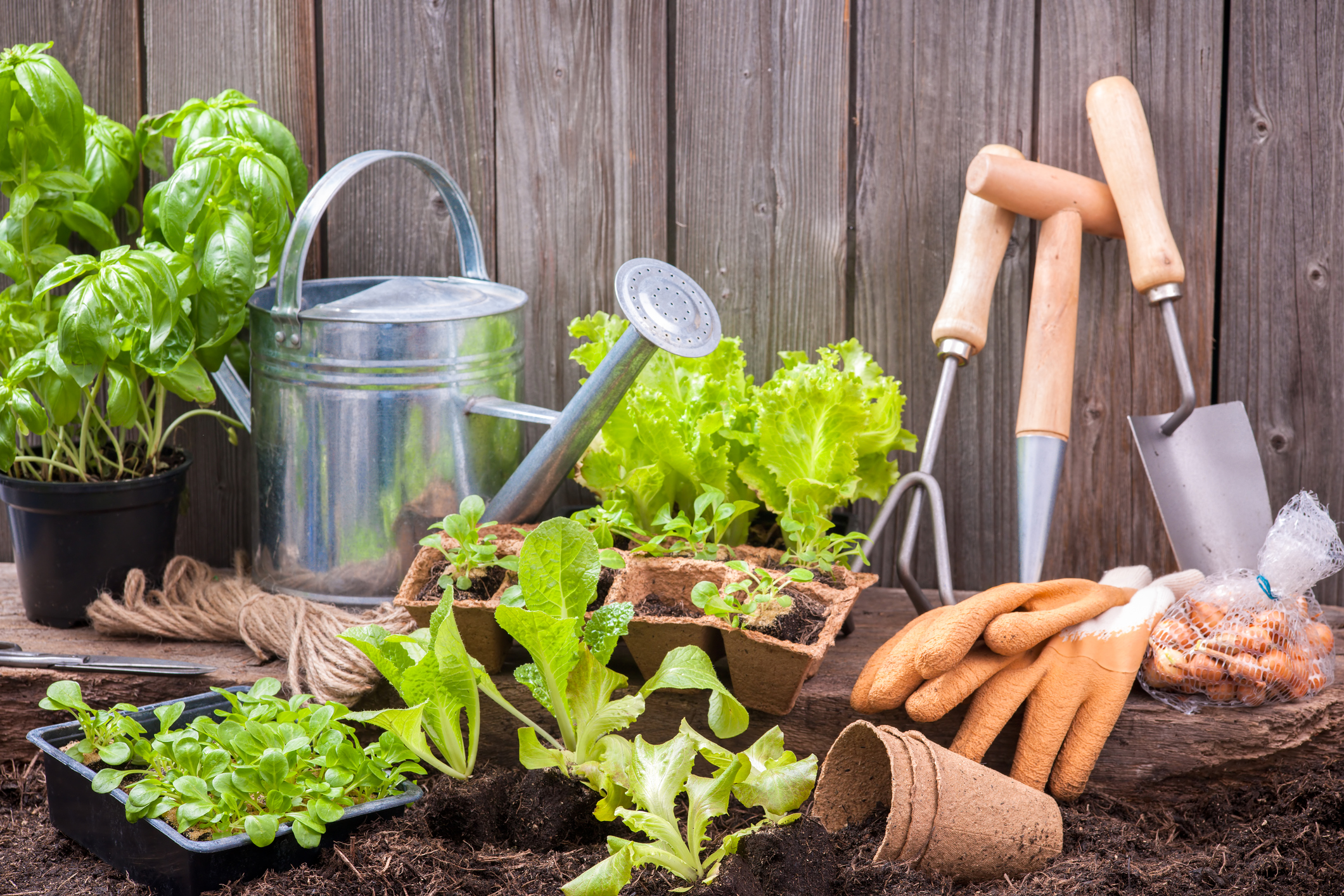 Time to steam vegetables фото 117