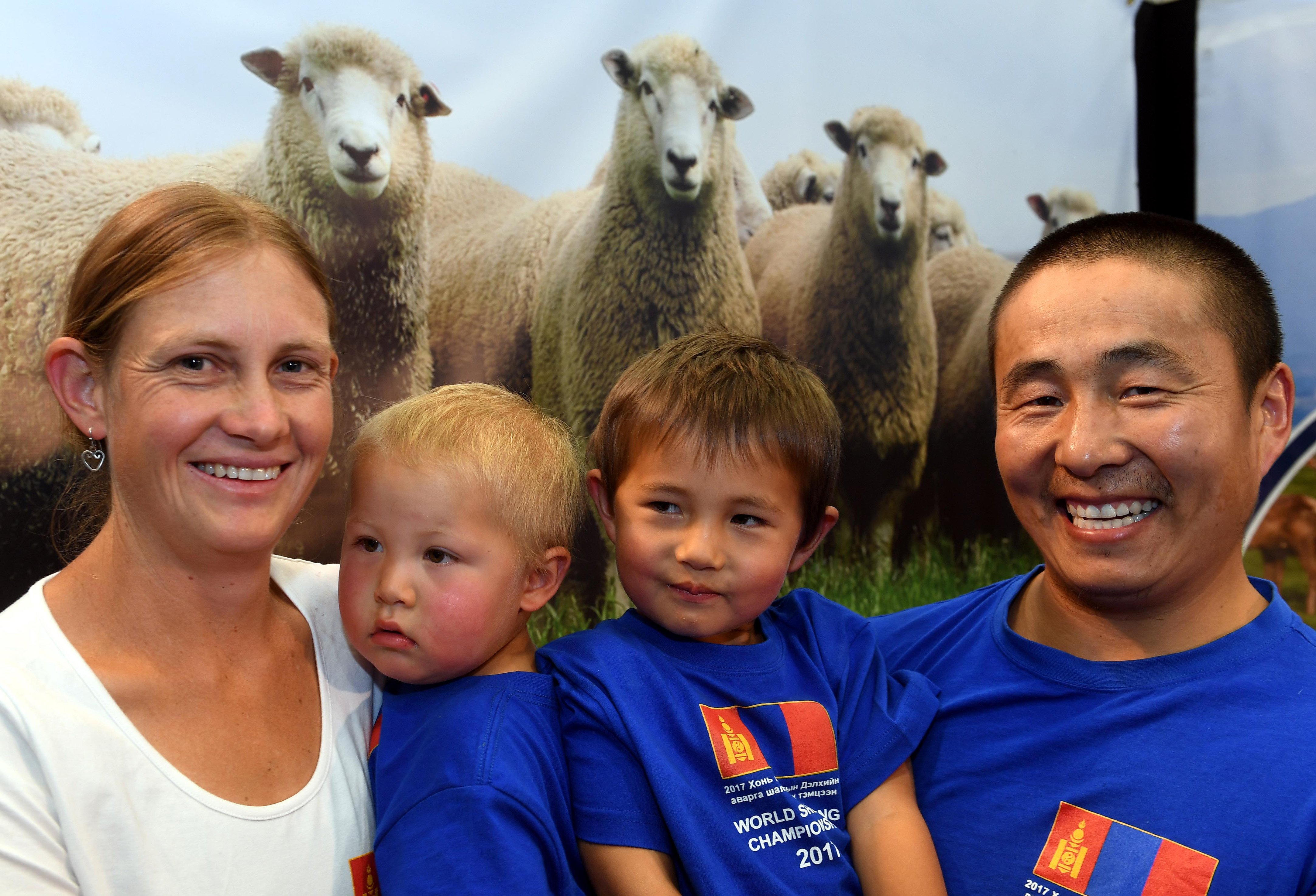 Mongolian shearer's challenge  Otago Daily Times Online News