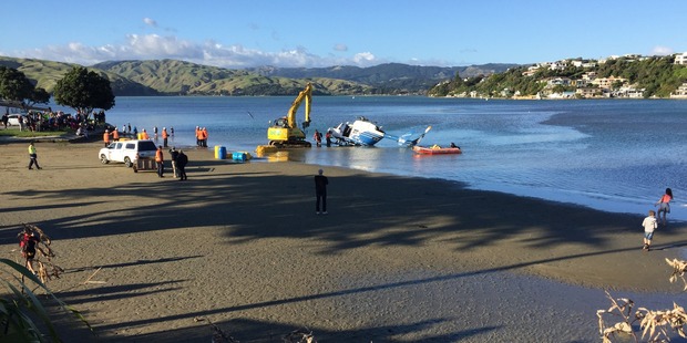 The pilot said he considered himself lucky to have walked away uninjured. Photo: NZ Herald