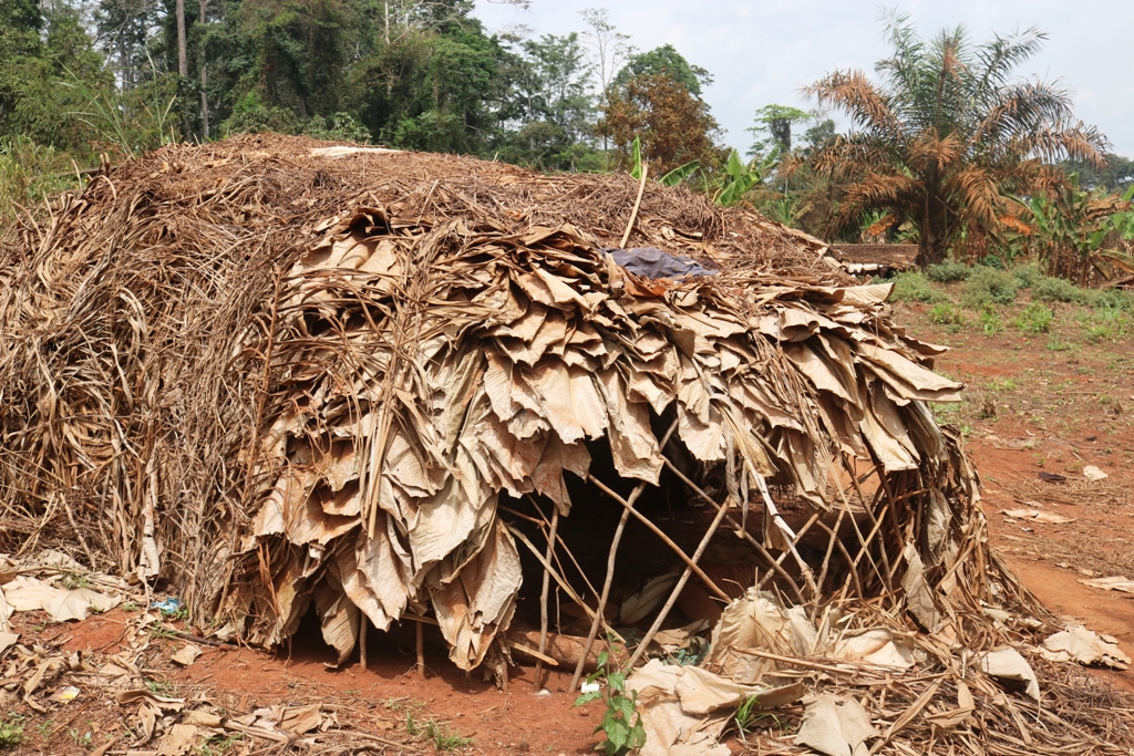 Houses are made from leaves and baked clay and mud. Photo: Reuters