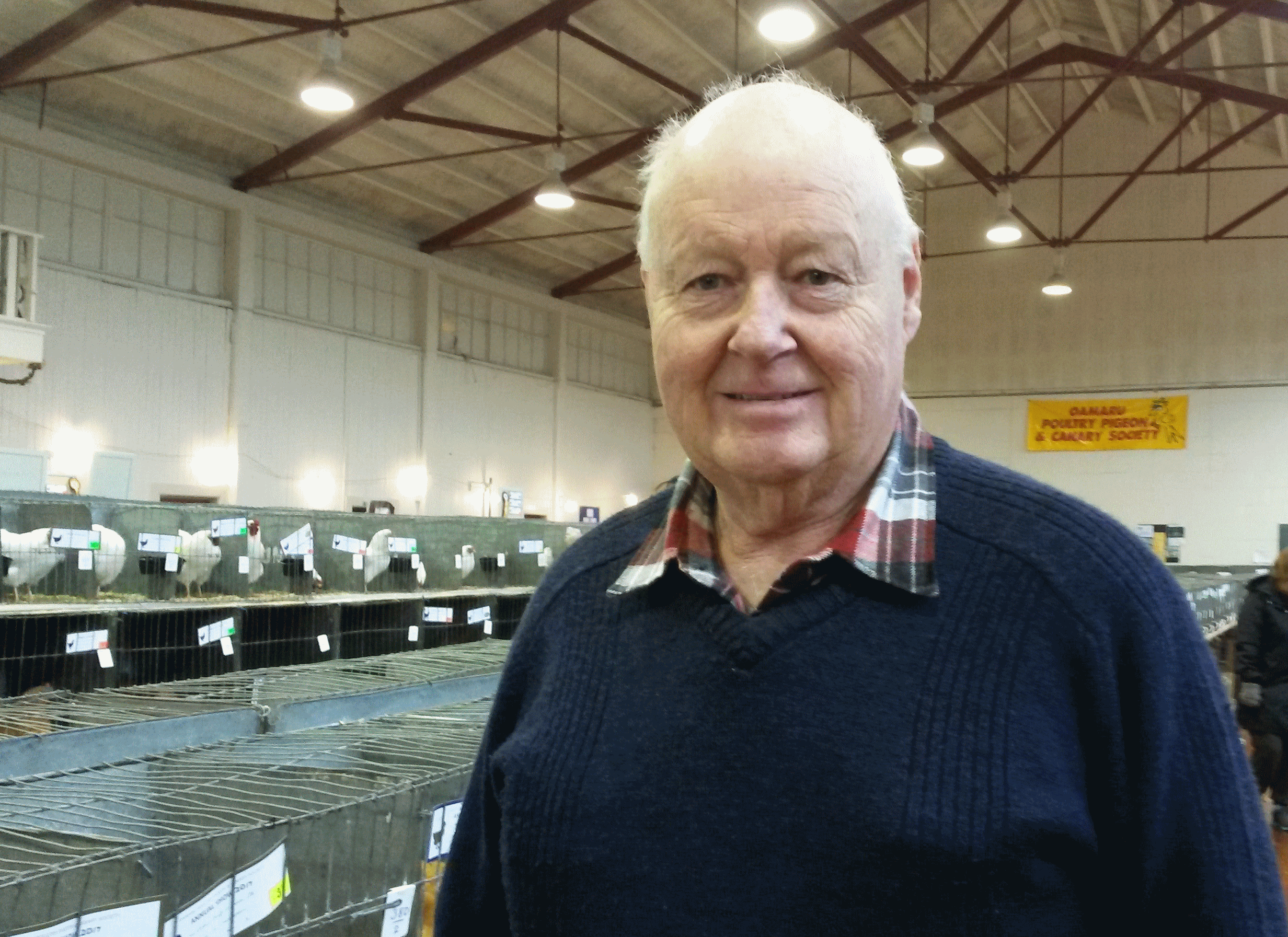 Oamaru Poultry, Pigeon & Canary Show secretary Trevor Hill. Photo: Shannon Gillies